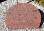 Frode Pedersen.JPG